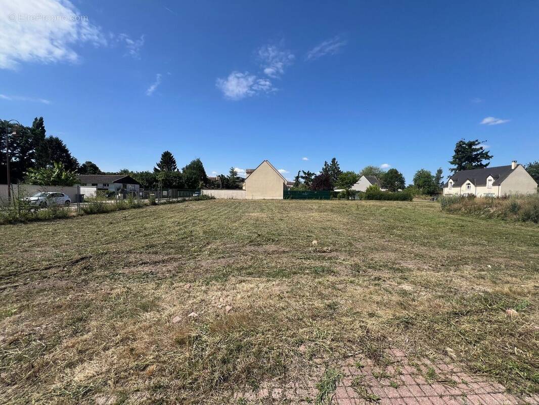 Photo 1 - Terrain à MAULE