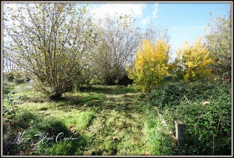 Maison à RIVIERE-SAAS-ET-GOURBY