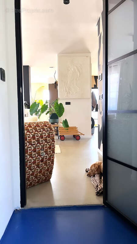 Maison à ANGLET