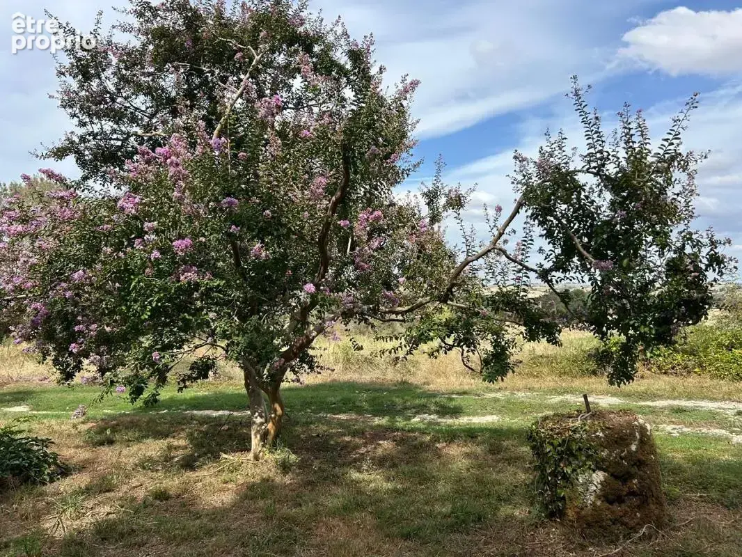 LECTOURE, Maison de caractère avec ses dépendances et 5hectares de terres autour - photo 19