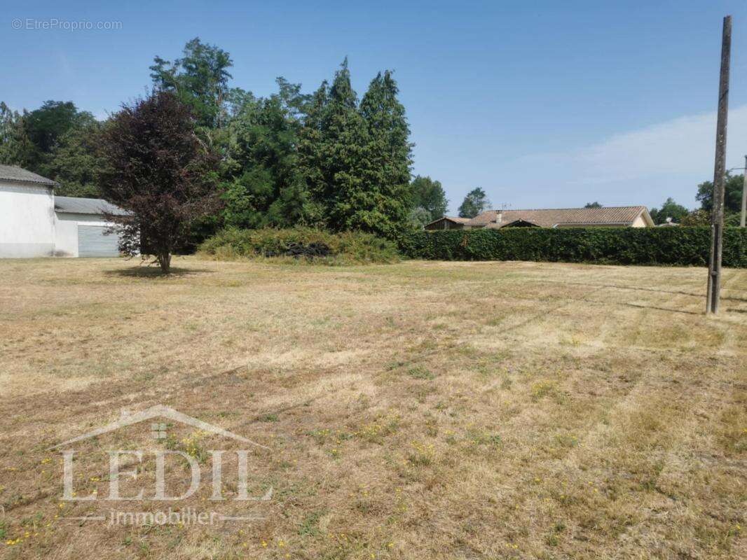 Terrain à SAINT-SYMPHORIEN