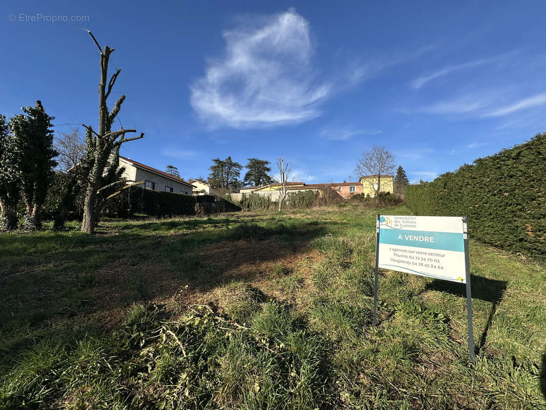 Terrain à THURINS