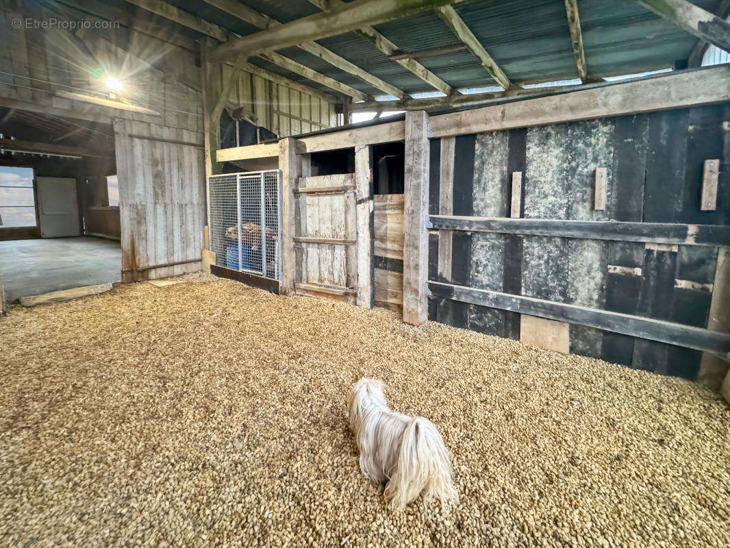 Maison à CHATEAUBRIANT