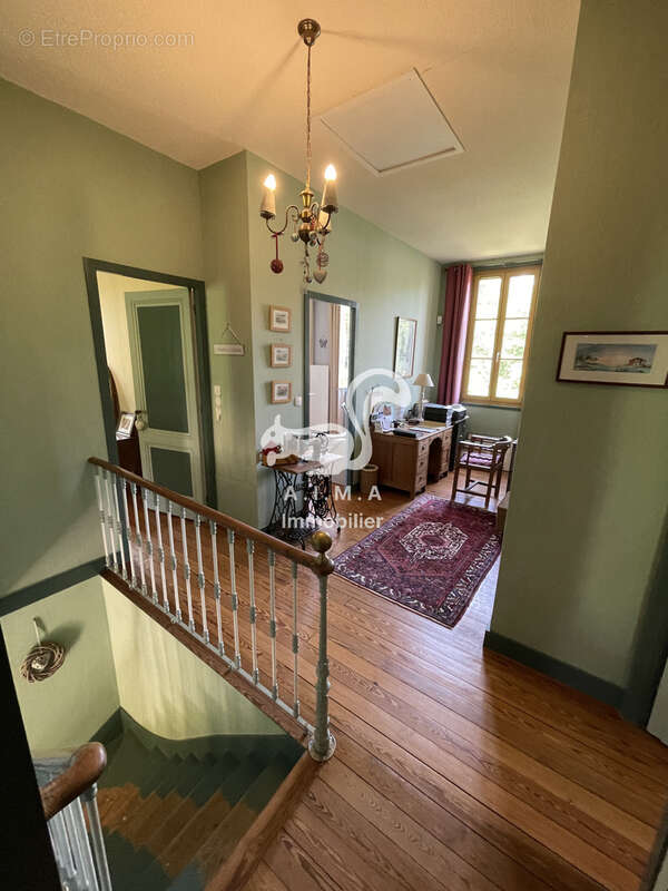 Maison à BELIN-BELIET