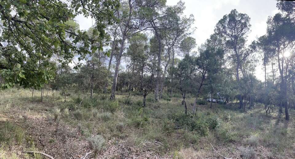 Terrain à LE THORONET