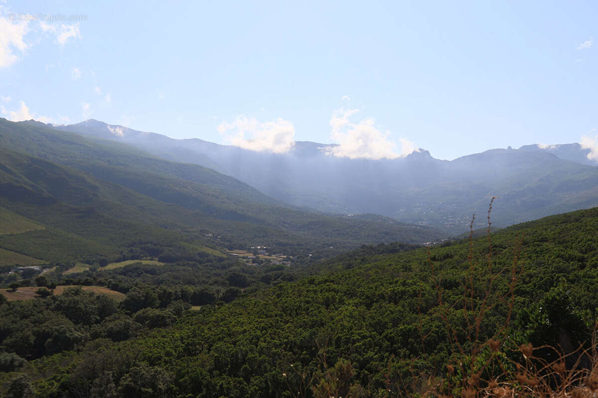 Terrain à SISCO