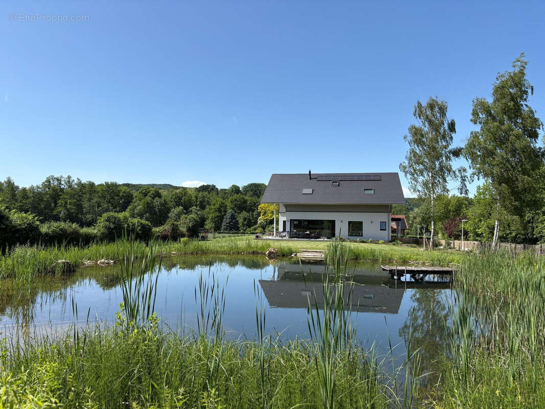 Maison à LEYMEN
