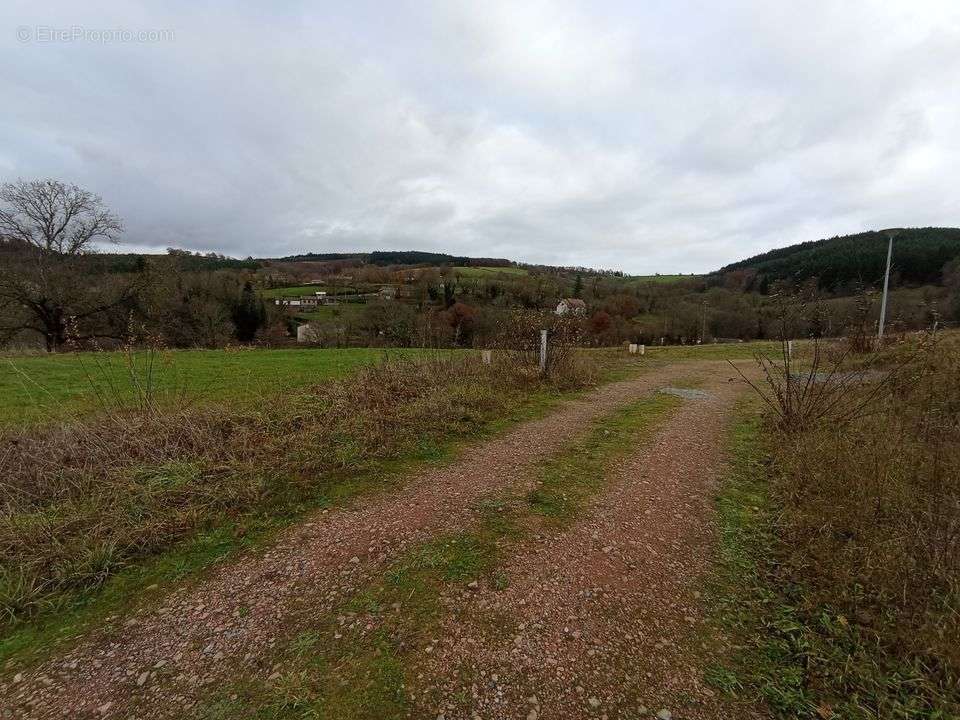 Terrain à FERRIERES-SUR-SICHON