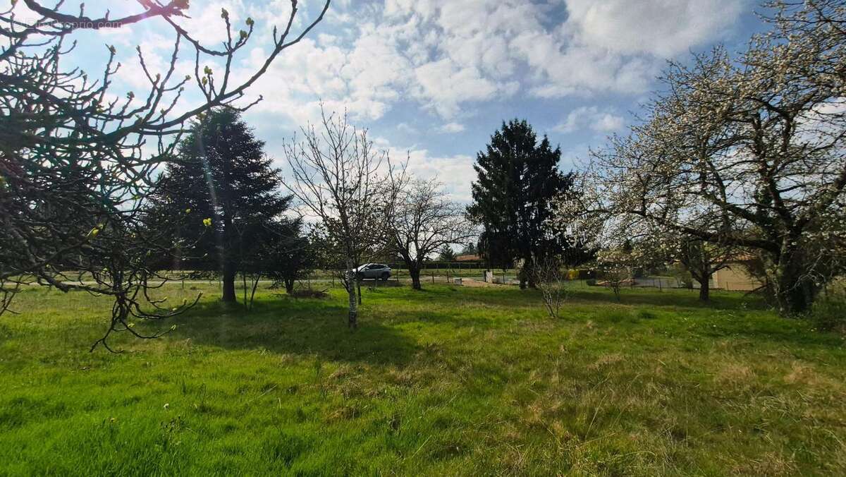 Terrain à EGLISE-NEUVE-DE-VERGT