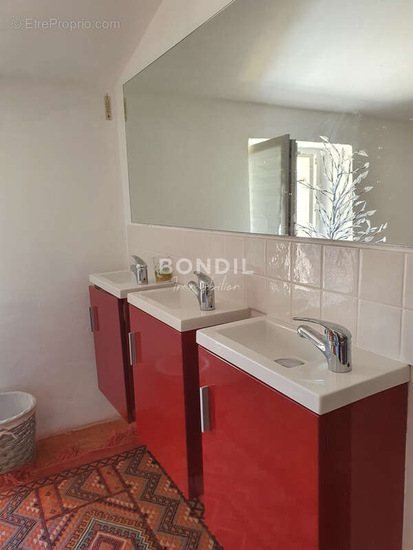 Maison à LA BASTIDE-DES-JOURDANS