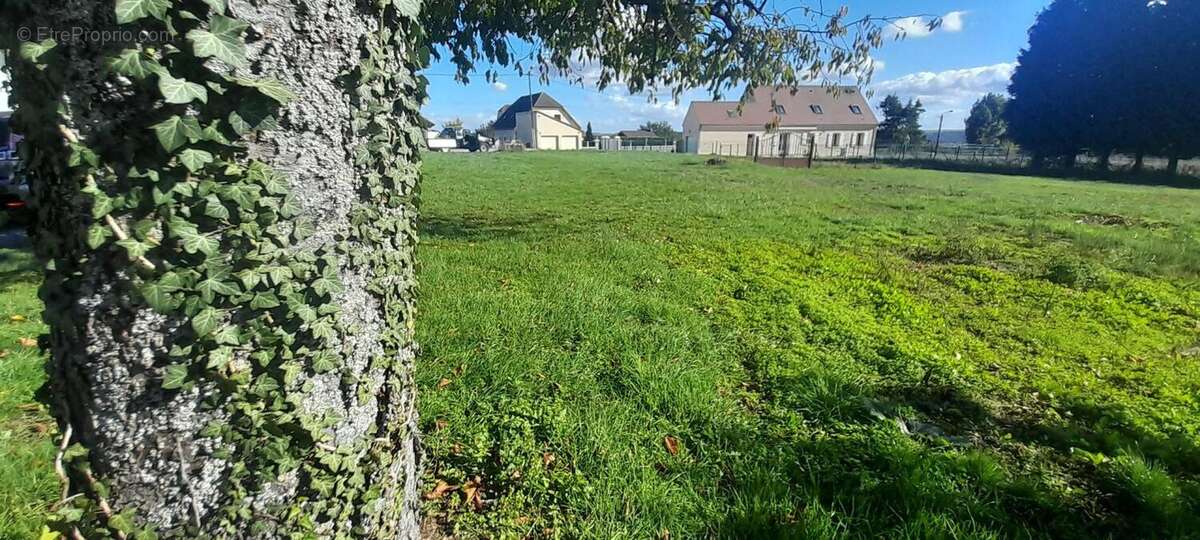 Terrain 752 m² à Monthenault  - photo 4