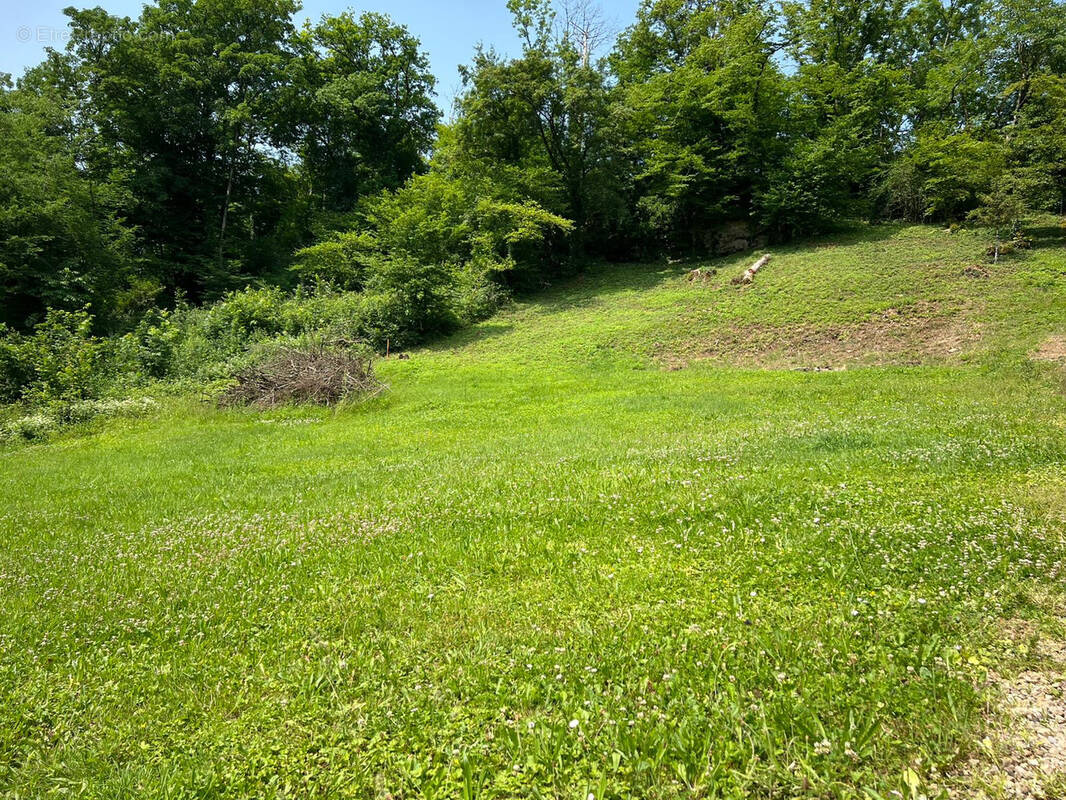 Terrain à SOYE