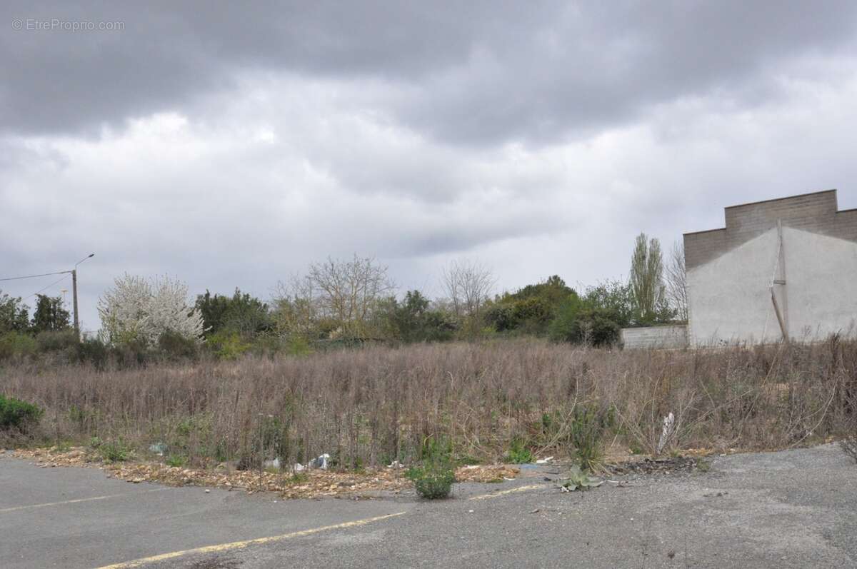 Dpt Vienne (86), à vendre CHATELLERAULT terrain Zone d'Activité Le Sanital - photo 9