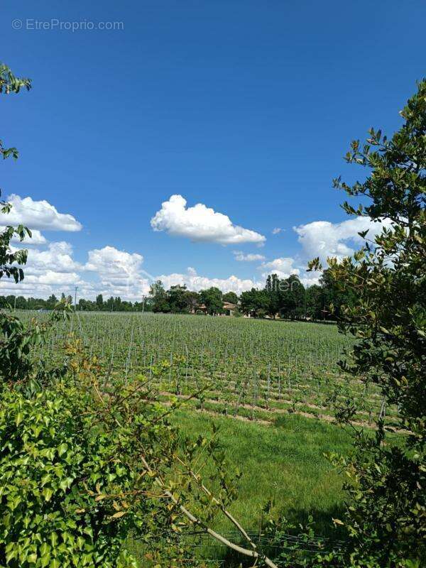 Maison à SAINTE-EULALIE