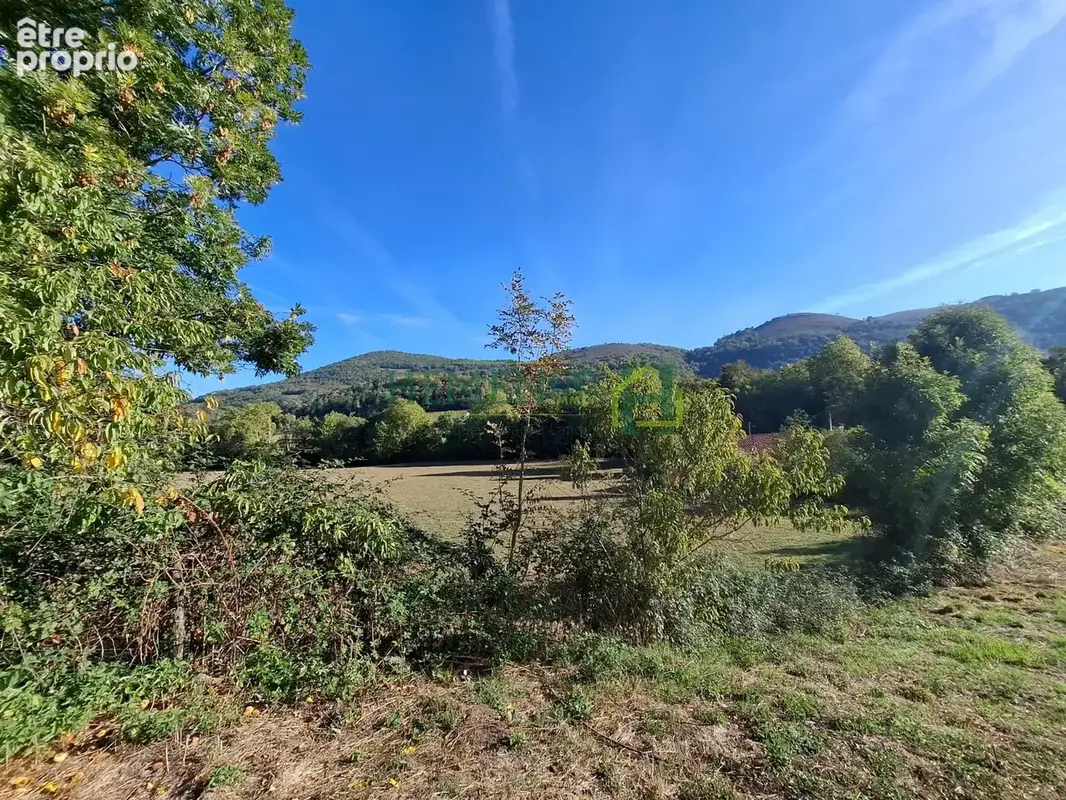 Belle maison familiale à Lecumberry, à proximité de Saint-Jean-Pied-de-Port et de l’Espagne en exclusivité - photo 20