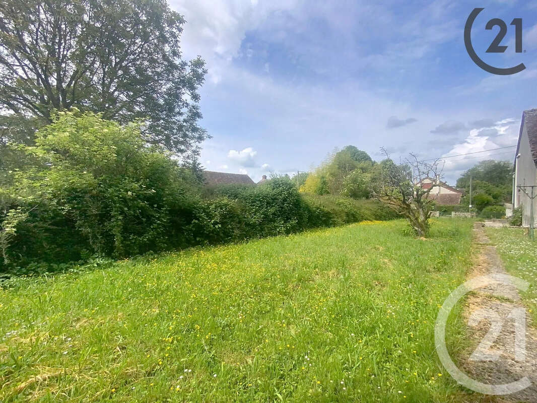 Terrain 2150 m² à Voulton  - photo 4