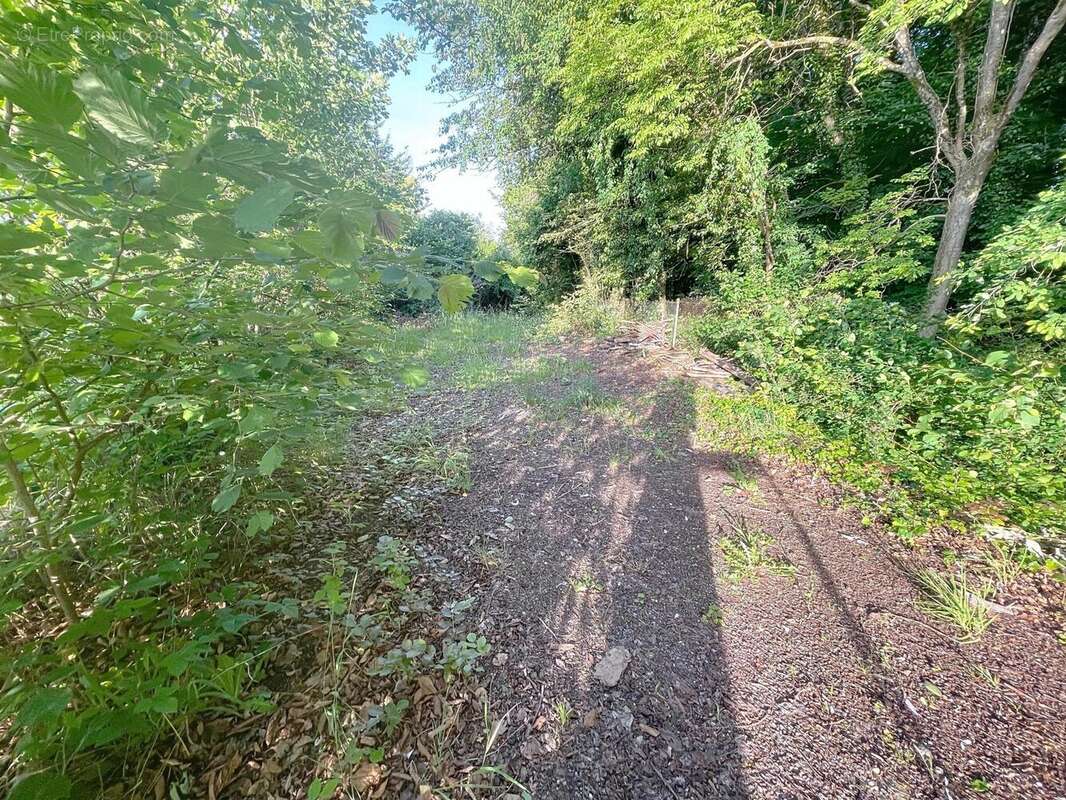 Photo 4 - Terrain à GUIGNICOURT-SUR-VENCE