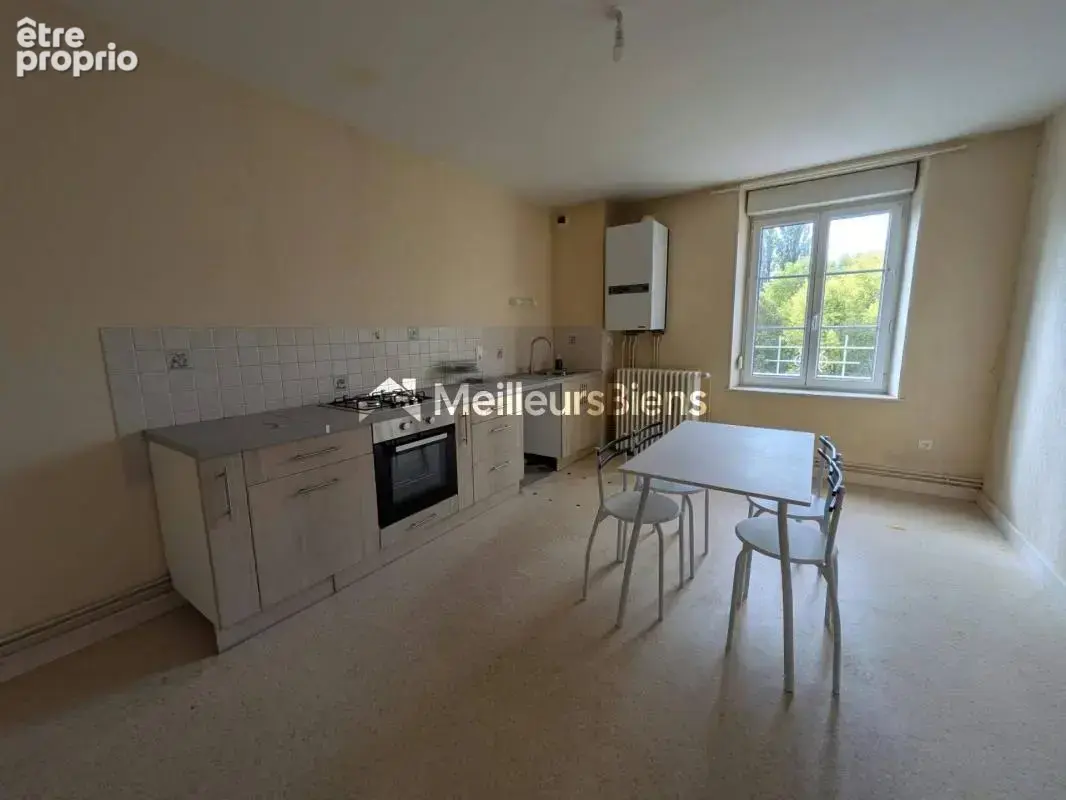 Immeuble d'habitation 6 logements à Bourbonne-les-Bains, 344 m² - photo 2