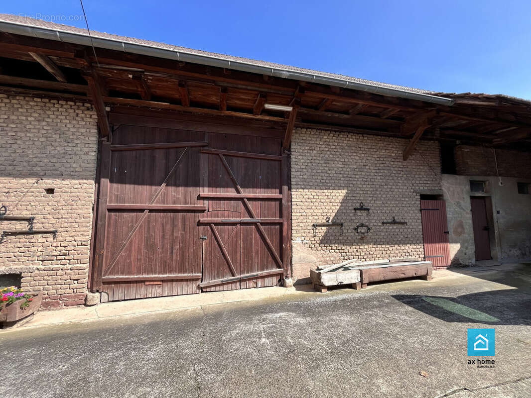 corps de ferme Kochersberg grand terrain grande maison piscine Truchtersheim dépendances  - Maison à QUATZENHEIM
