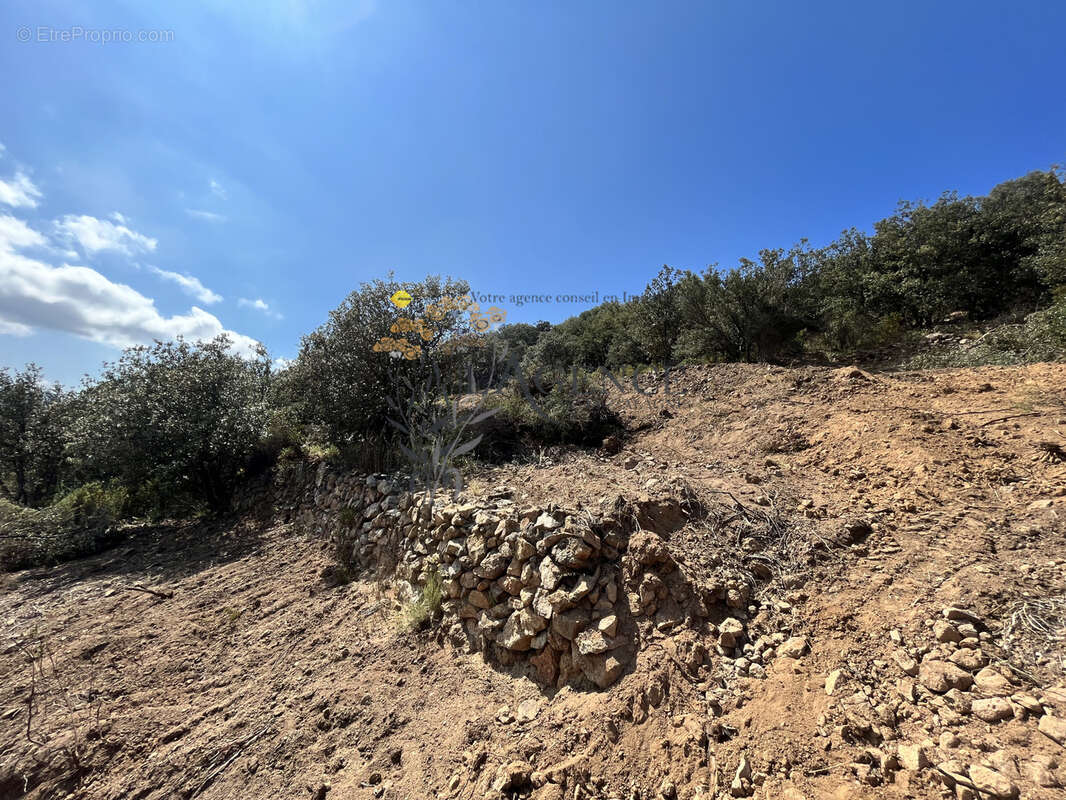 Terrain à MONTICELLO