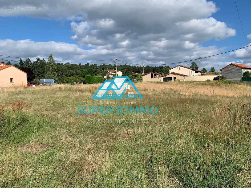 Terrain à VIEILLE-BRIOUDE