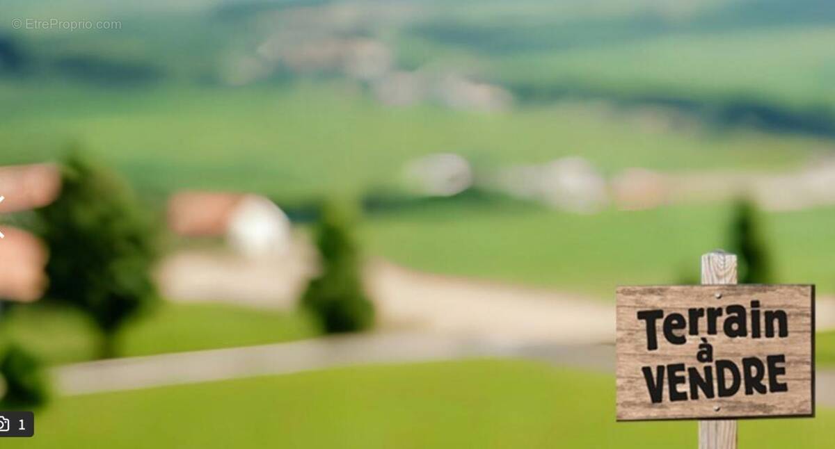 Terrain à VALLANGOUJARD