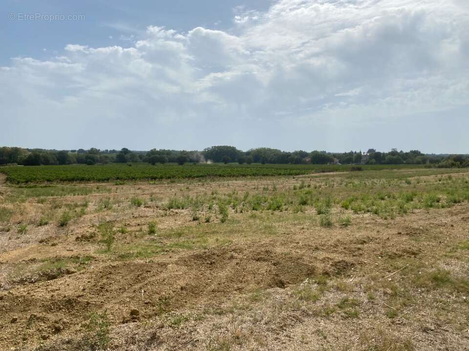Terrain 640 m² à Servian  - photo 2