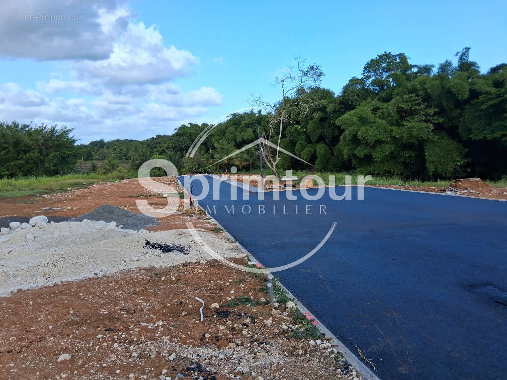 - BAIE-MAHAULT   lotissement résidentiel de 12 parcelles, « Les Jardins de Tivoli », - photo 11