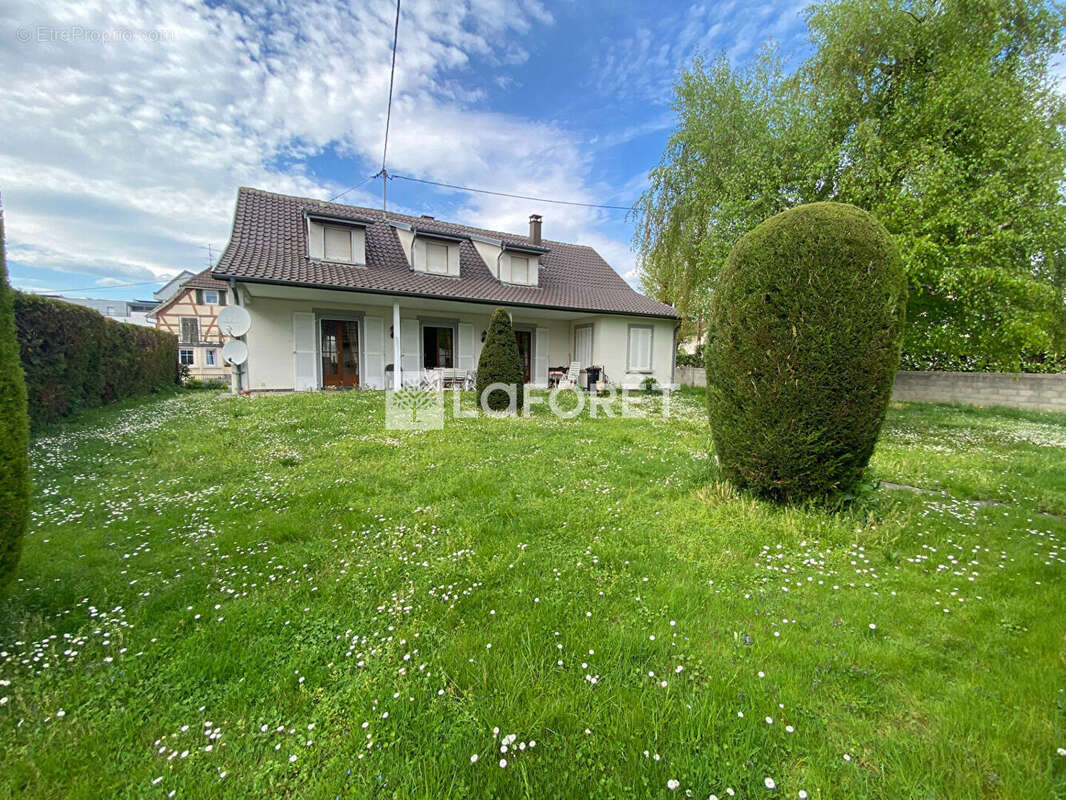 Maison Sierentz 7 pièce(s) 184m2 - photo 2