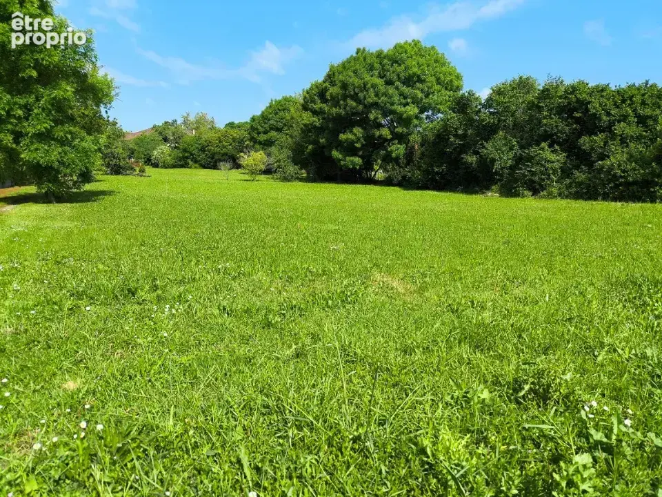 Terrain à SAINT-SULPICE-DE-COGNAC