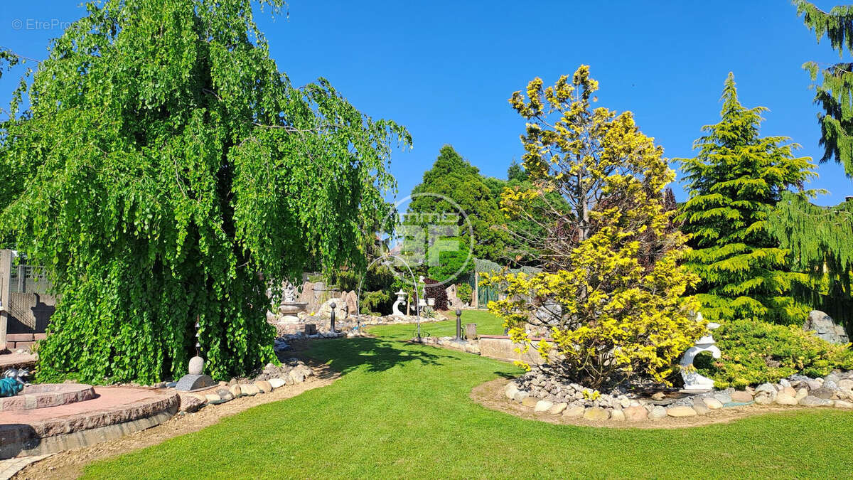 Maison à DURLINSDORF