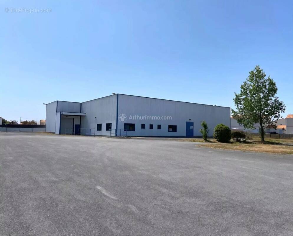 Commerce à BEAUVOIR-SUR-MER