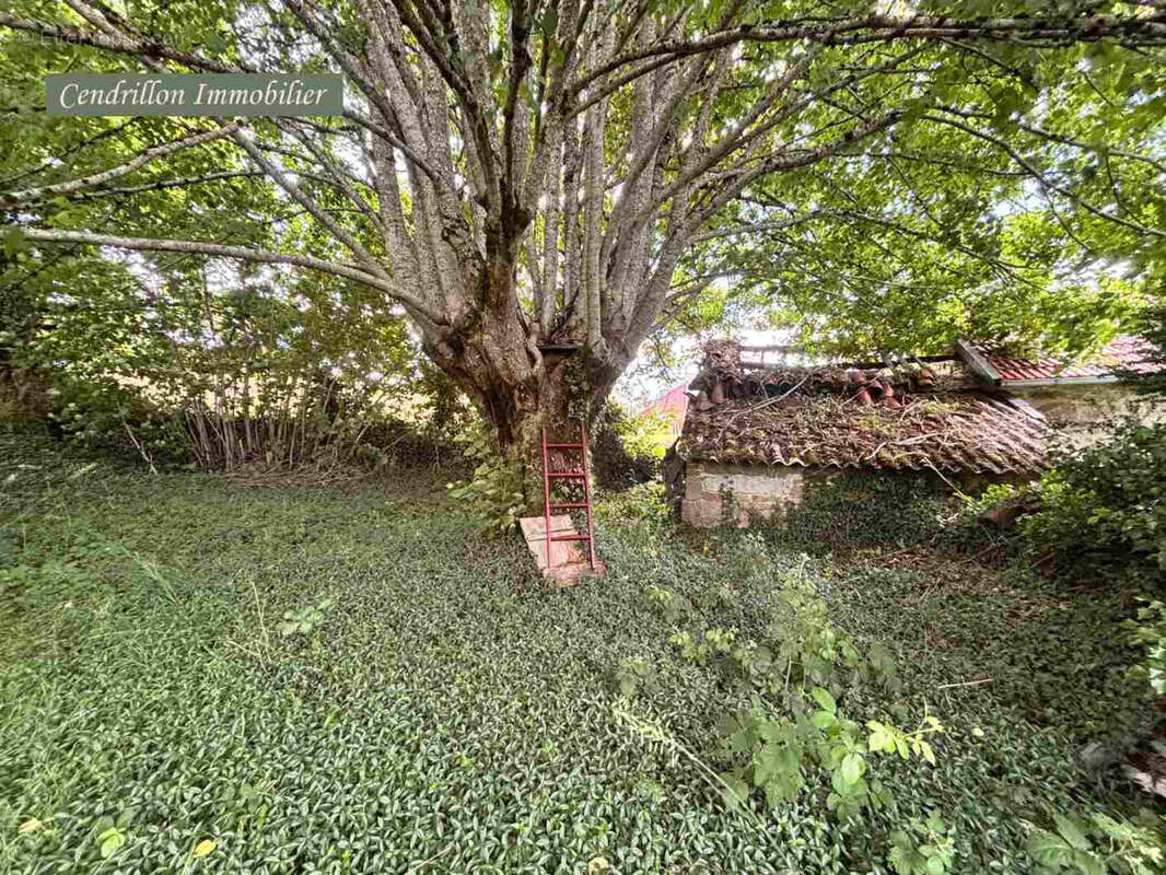 Projet rénovation ! Maison indépendante 70m2 habitables, en pierre avec terrain, près du Lac de Vassivière. - photo 39
