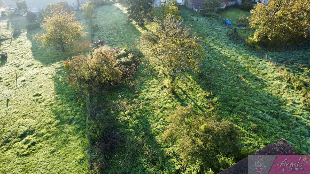Terrain à DAMMARTIN-MARPAIN