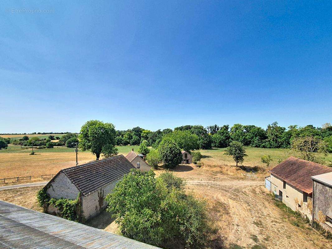 Un domaine de 11,6 hectares aux portes d'Avord - photo 3