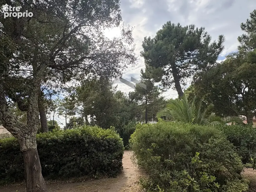 Mini-villa à deux pas de la plage de saint-cyprien - photo 14