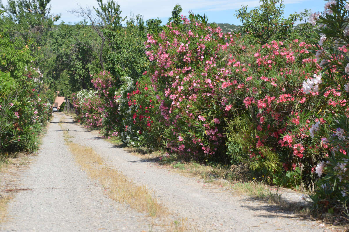 Maison à VIC-LA-GARDIOLE