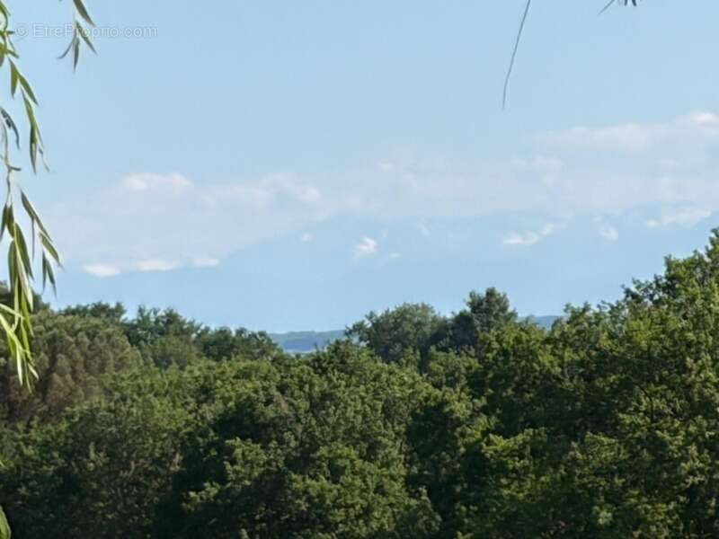 PLAISANCE DU GERS(32) sur les coteaux, PROPRIETE D ARCHITECTE 1965 sur 2HA, Dépendances, un peu cachée , VUE Pyrénées et bois, s - photo 2
