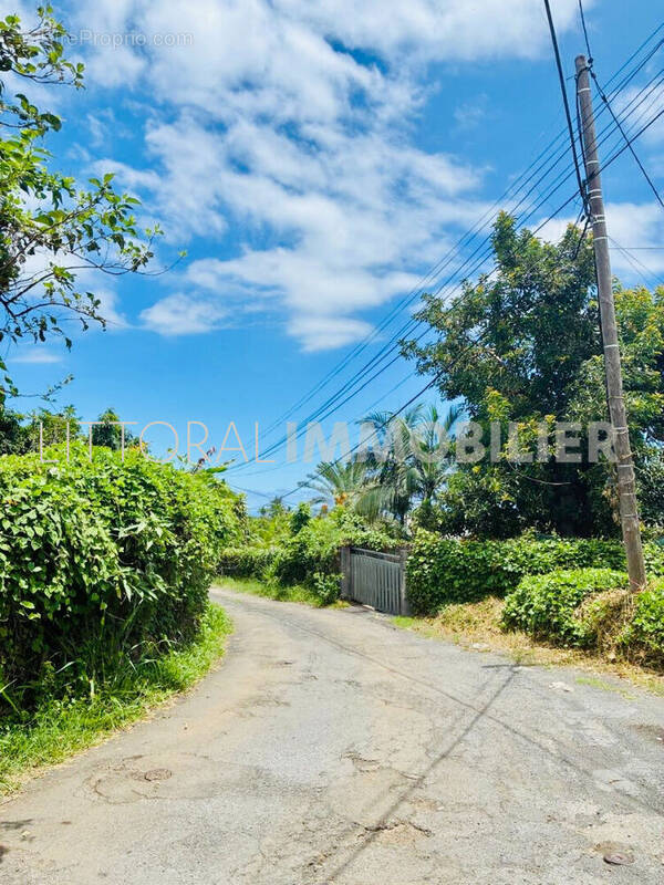 Terrain à LE TAMPON