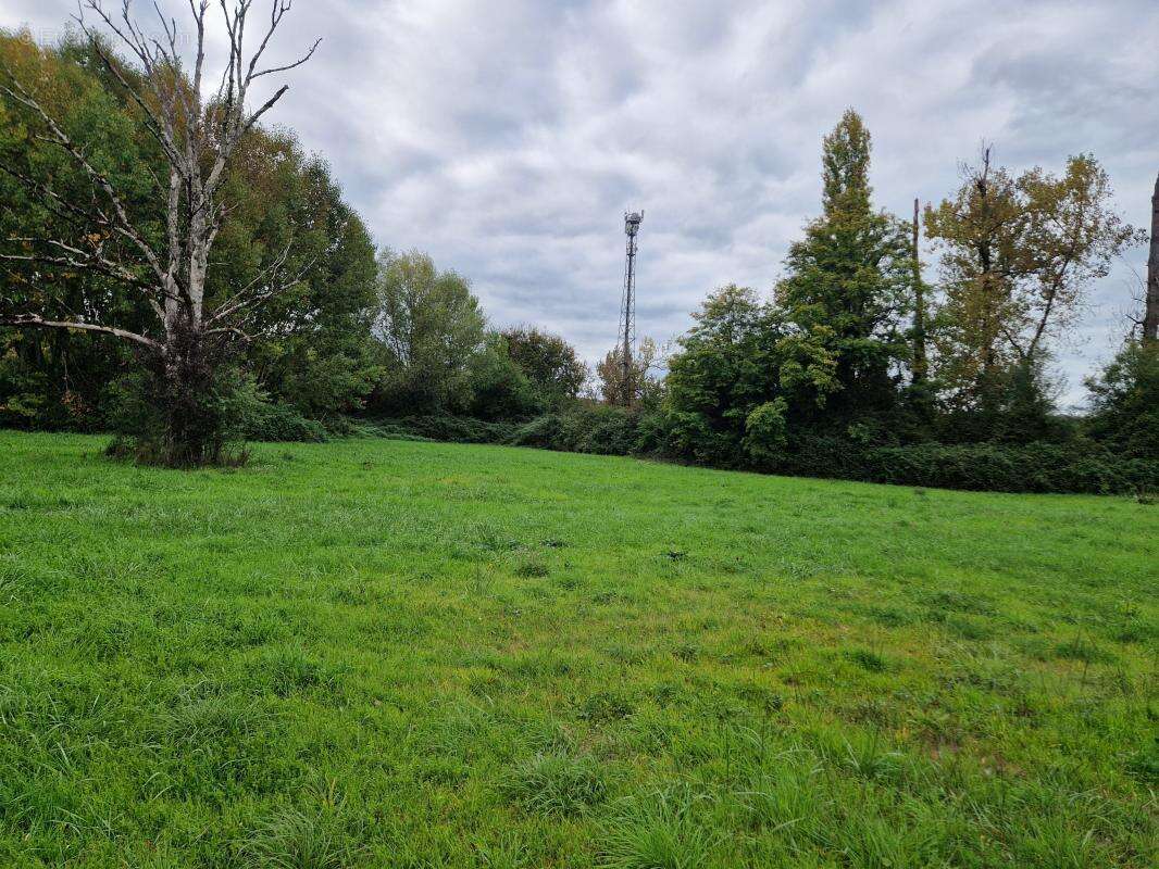 Terrain à TERRASSON-LAVILLEDIEU