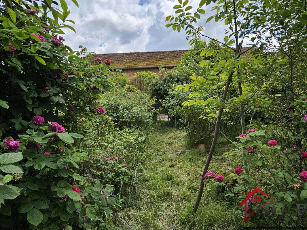 Heiltz-le-maurupt - photo 14