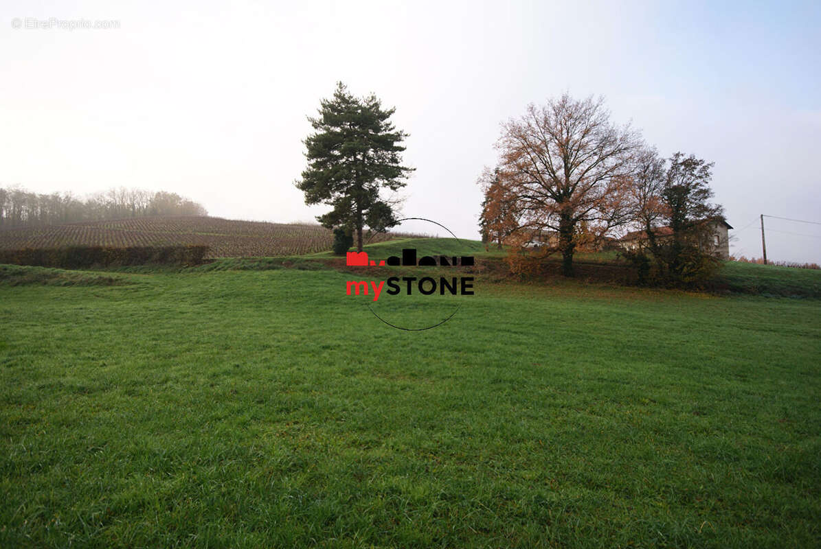 Terrain à SAINT-AMOUR-BELLEVUE