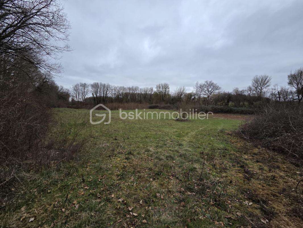 Terrain à BLANZAY