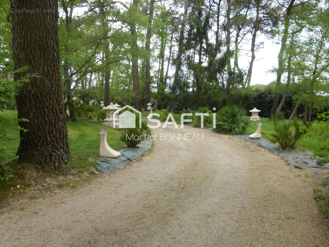 Photo 5 - Maison à SAINT-NICOLAS-DE-REDON