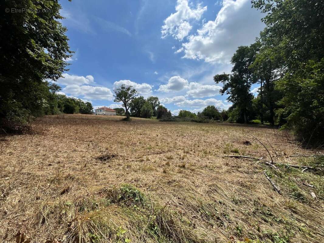 Terrain à RAZAC-SUR-L'ISLE
