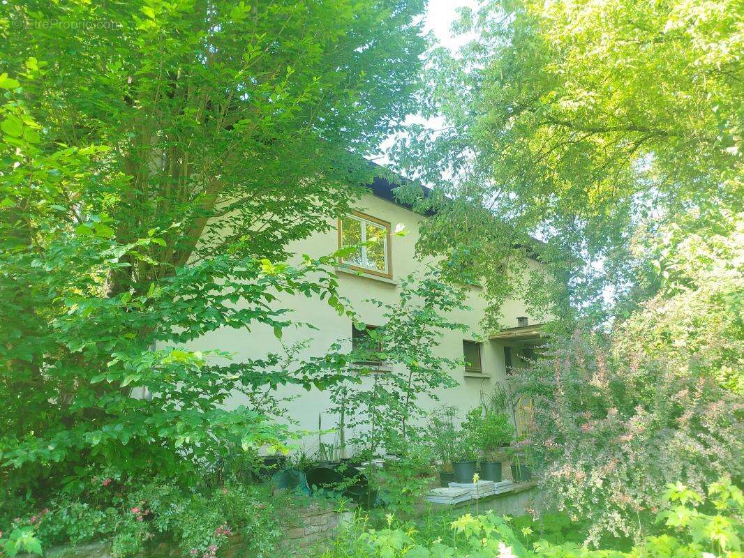 Maison à ANDOLSHEIM