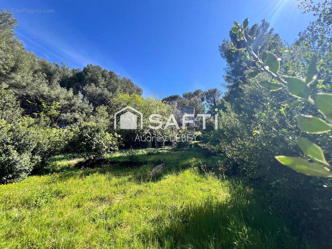 Photo 4 - Maison à SANARY-SUR-MER