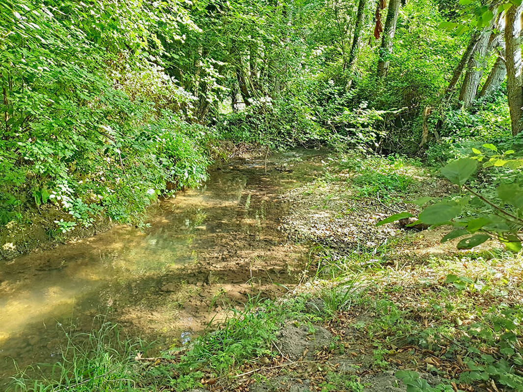 Terrain de détente et de loisirs non constructible dans un cadre champêtre à 5 minutes de Pont Audemer - photo 5