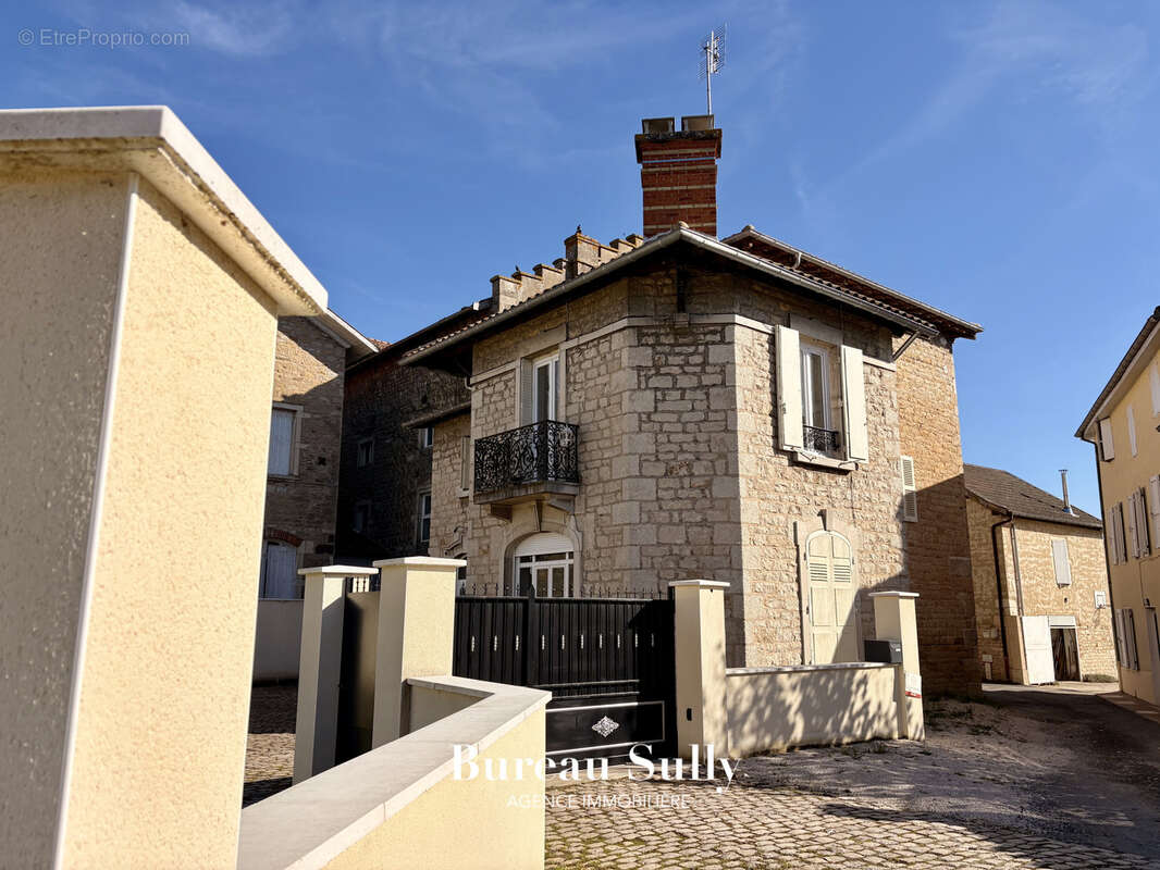 St Didier sur Chalaronne centre ( 01140 ) Maison 300 m2 Terrain 525 m2, ttes commodités, 20 mn gare Belleville - photo 2