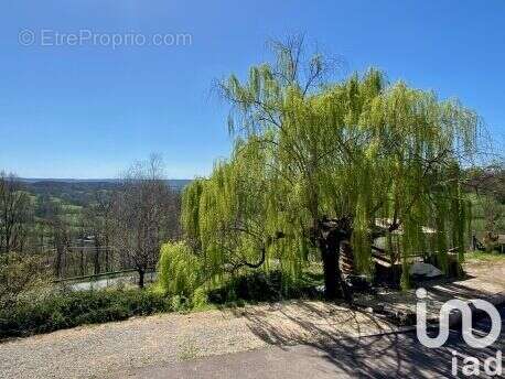 Photo 9 - Maison à COLLONGES-LA-ROUGE